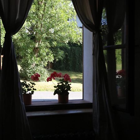 Historicke Apartmany Zelenohorska Posta Nepomuk エクステリア 写真
