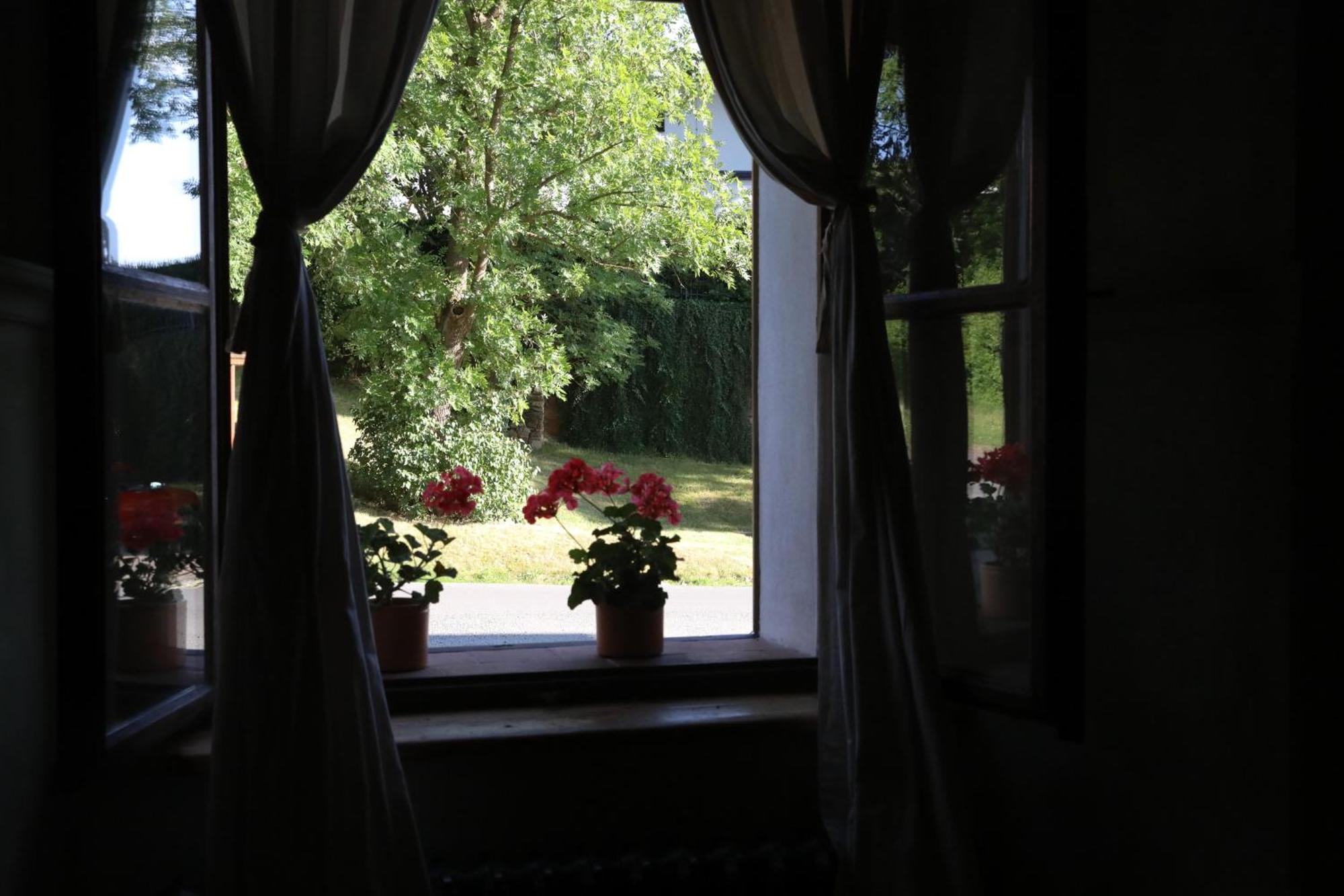 Historicke Apartmany Zelenohorska Posta Nepomuk エクステリア 写真